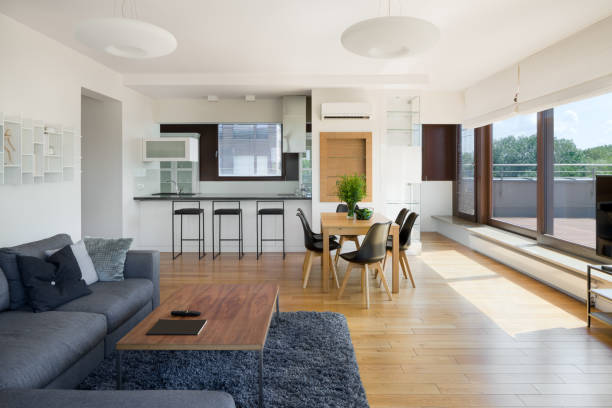 Spacious modern living area featuring a comfortable sofa, sleek kitchen, and dining space with large windows for natural light.
