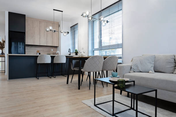 Modern open-plan living room and kitchen with contemporary furnishings and natural light.